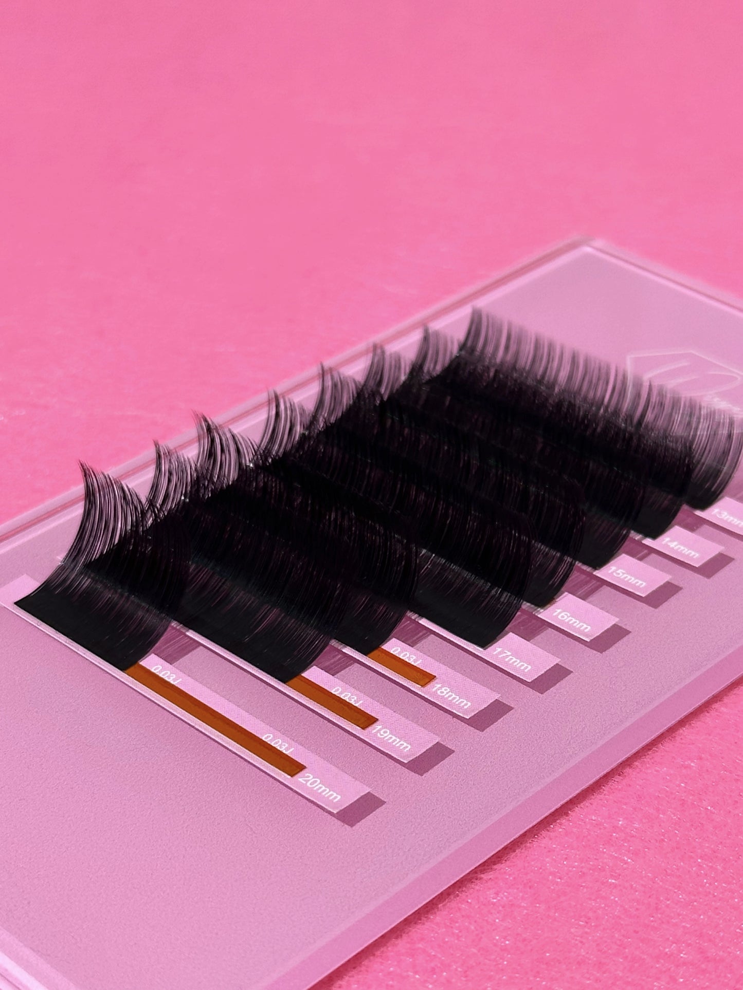 The Ultimate Lash Holder
